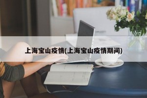 上海宝山疫情(上海宝山疫情期间)