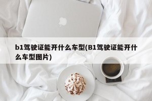 b1驾驶证能开什么车型(B1驾驶证能开什么车型图片)